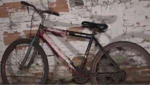 Ciclista ebrio ocasiona accidente mortal en Limpio - Policiales - ABC Color