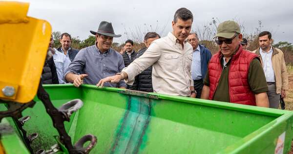 La Nación / Producción de papa nacional llega a 14 departamentos del país, informó MAG