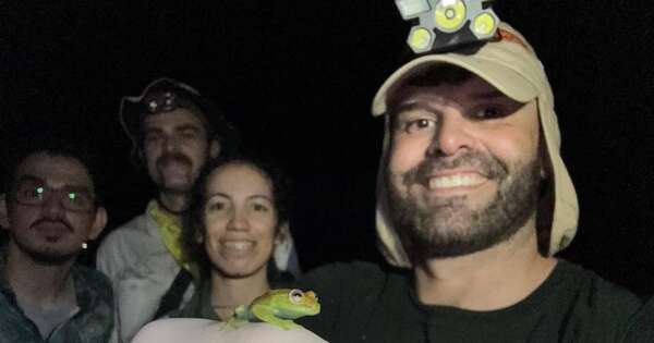 La Nación / Buscan detectar hongo dañino para anfibios