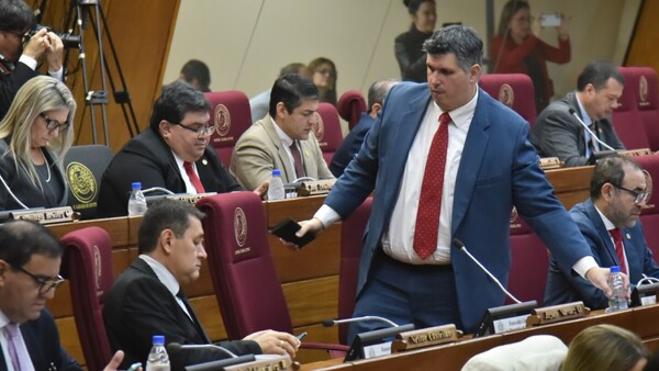 Diputados tratan prohibición de uso del Padrón Nacional