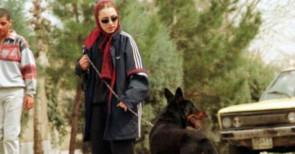 Diario HOY | Ciudades de Irán prohíben pasear a los perros