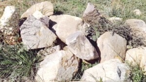 Curiosos ya preguntan: Dónde está la mina de oro en Caapucú