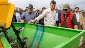 Gobierno impulsa la expansión del cultivo de papa