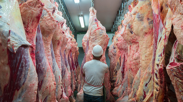 Crecen las importaciones de carne vacuna brasileña en Argentina