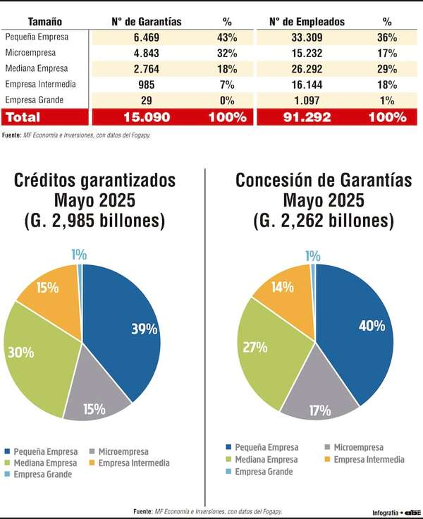 Pequeñas y microempresas lideran en el uso del instrumento financiero - Economía - ABC Color