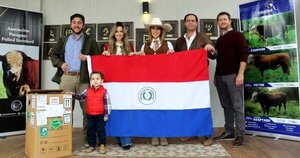 Concretan histórica importación de embriones Polled Hereford desde Uruguay
