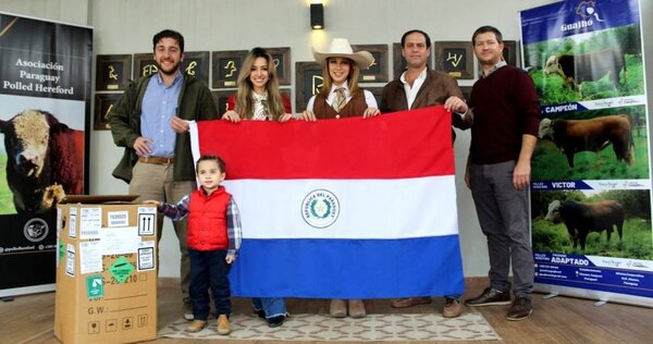 Concretan histórica importación de embriones Polled Hereford desde Uruguay