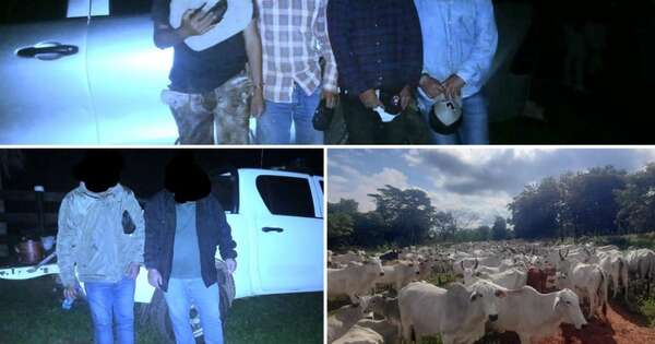 Diario HOY | Recuperan 500 vacas y detienen a seis personas