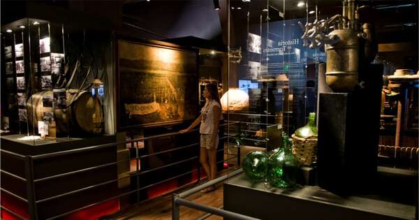 Un museo para disfrutar de vinos de altura