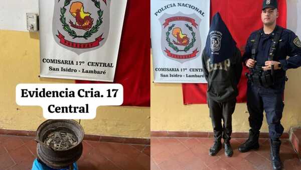 Robó el brasero del vecino y terminó tiritando en el calabozo