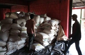 Productores de la agricultura familiar comercializan más de 10.600 kilos de maíz locro - .::Agencia IP::.