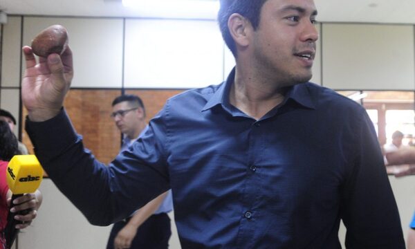 Comisión de Diputados da luz verde a la intervención de Ciudad del Este