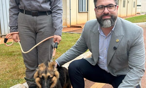 Unidad canina entrenada protegerá cárcel de Minga Guazú para la detección de drogas
