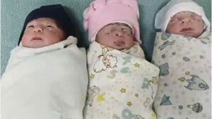 ¡Chúlina! Nacieron trillizos en el Hospital de Clínicas y necesitan el apoyo de la gente