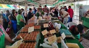 Ofertarán productos del campo, sin intermediarios, en seis ferias de la Agricultura Familiar - .::Agencia IP::.