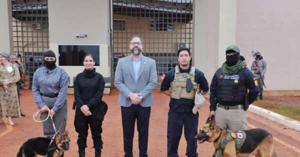 La Nación / Cerezo de Minga Guazú cuenta con un can pastor alemán para detección de drogas