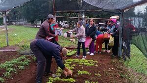 Entregan plantines a más de 260 productores en Cambyretá Centro y Arroyo Porã