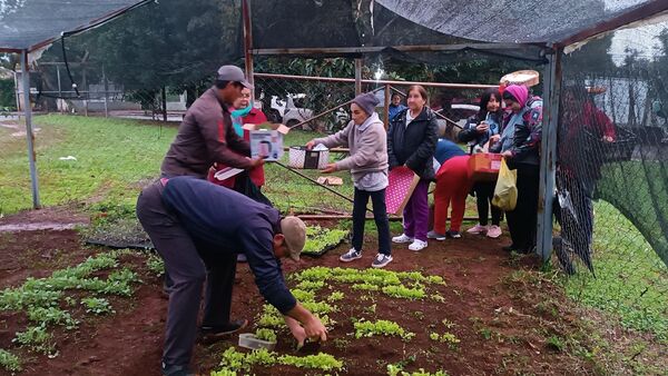 Entregan plantines a más de 260 productores en Cambyretá Centro y Arroyo Porã