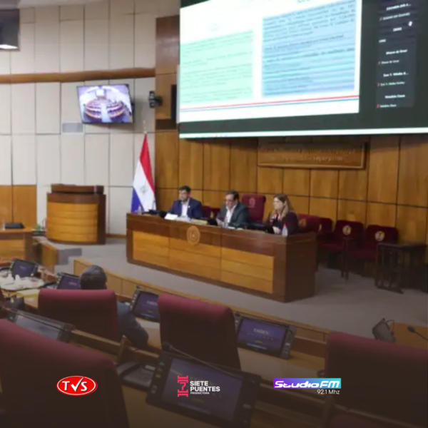 Senadores emitirán recomendaciones al TSJE sobre máquinas de votación - «TVS DIGITAL»