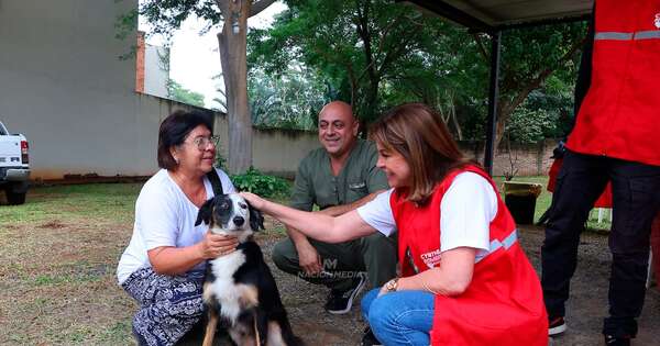 La Nación / ¡Exitosa jornada de vacunación en Asunción!: doscientos gatos y perros fueron atendidos