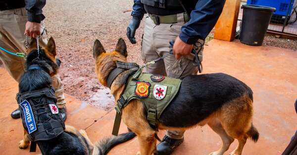 Diario HOY | Presentan a los nuevos perros antidrogas en la cárcel de máxima seguridad