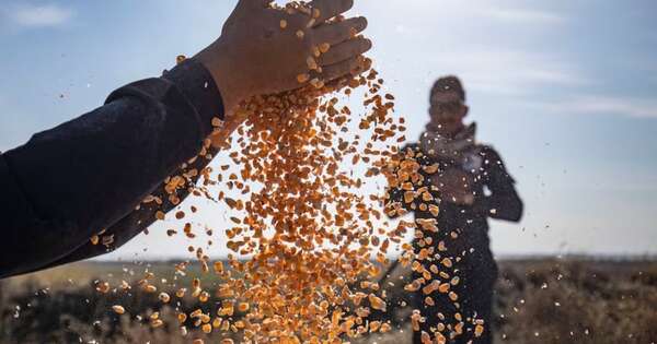 La Nación / Proponen estrategia regional frente a los nuevos desafíos del comercio agroalimentario