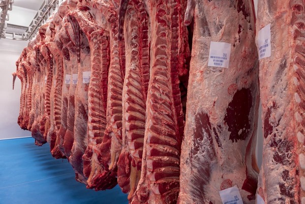 Exportaciones brasileñas de carne bovina mantienen fuerte ritmo en junio de 2025