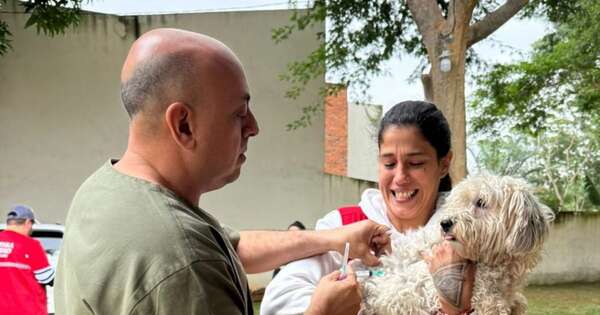 La Nación / Exitosa jornada: 200 gatos y perros fueron vacunados en Asunción