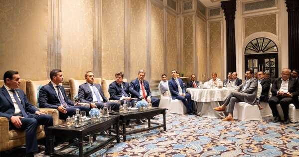 La Nación / Potencial energético resonó con viajes de Peña
