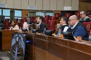 En el Congreso insisten en que las máquinas de votación son vulnerables - Política - ABC Color