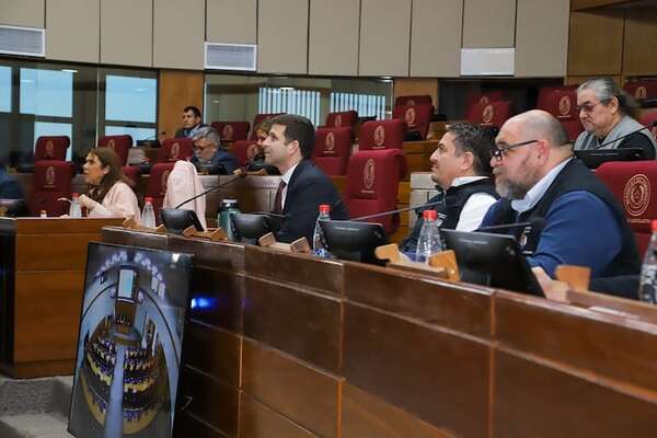 En el Congreso insisten en que las máquinas de votación son vulnerables - Política - ABC Color