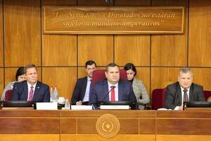 Avanza plan que busca combatir la mafia de los pagarés en el Senado - Política - ABC Color