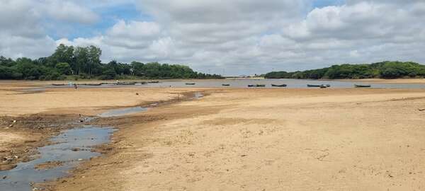 Mades suspende declaraciones de impacto ambiental para arroceros en el río Tebicuary - Nacionales - ABC Color