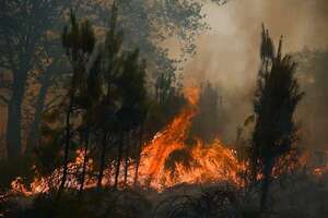 Hallan los cadáveres de dos bomberos desaparecidos en un incendio en el norte de Francia - Mundo - ABC Color