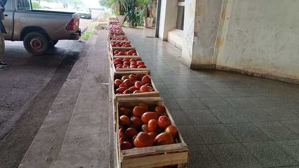 Decomisan tomates de contrabando en zona de la feria municipal de Encarnación