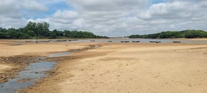 Mades suspende declaraciones de impacto ambiental a arroceros