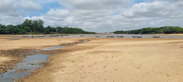 Mades suspende declaraciones de impacto ambiental a arroceros