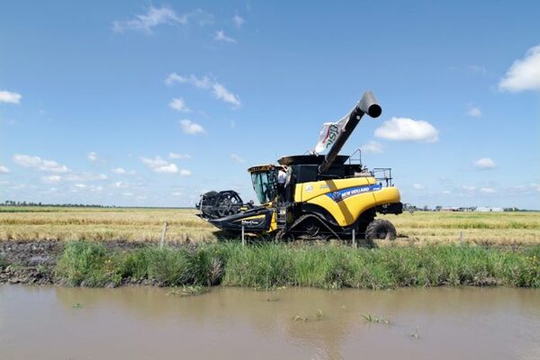 Suspenden nuevas licencias ambientales para cultivos de arroz en la cuenca del río Tebicuary - El Trueno