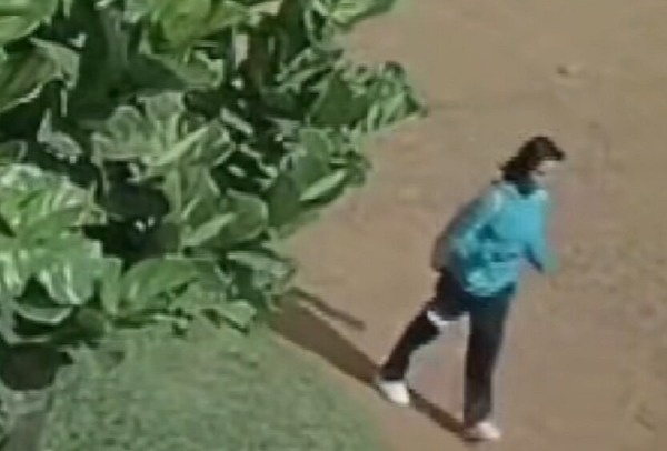 Preparan querella en caso de asesinato de María Fernanda