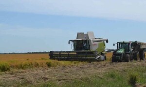 Mades suspende nuevos cultivos de arroz en la cuenca del río Tebicuary – Prensa 5