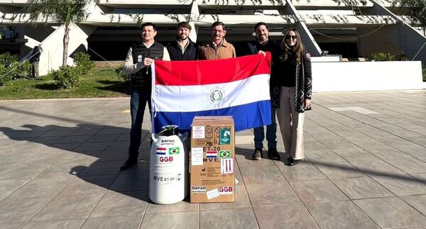 Logran primera exportación de embriones de la raza Boran al Brasil