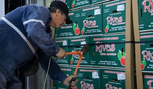 SENAVE habilitó en Itá Enramada primera Oficina de Punto de Inspección con cámara fría