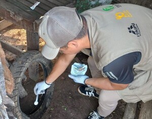 Participación comunitaria permitió detectar casi 7.000 criaderos de mosquito en Limpio - .::Agencia IP::.