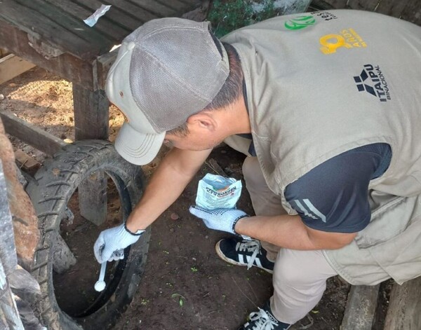 Participación comunitaria permitió detectar casi 7.000 criaderos de mosquito en Limpio - .::Agencia IP::.