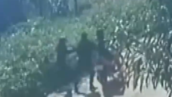 Video: Motochorros despojan a universitaria de costosos libros a plena luz del día
