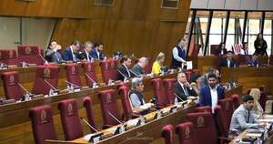 La Nación / Oposición intentará incidentar tratamiento de intervención de CDE, según diputado