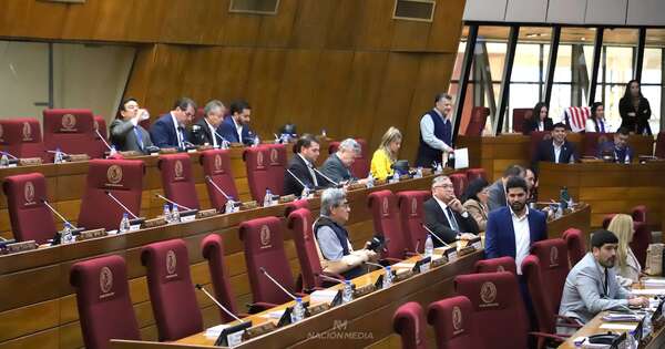 La Nación / Oposición intentará incidentar tratamiento de intervención de CDE, según diputado