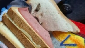 Una niña de 4 años llevaba cannabis en su sándwich: investigan a los padres