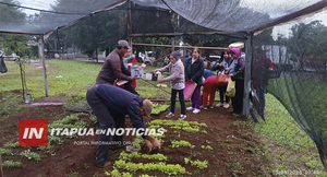 MUNICIPALIDAD DE CAMBYRETÁ BENEFICIA A MÁS DE 260 FAMILIAS CON ENTREGA DE PLANTINES