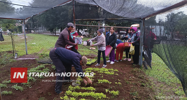 MUNICIPALIDAD DE CAMBYRETÁ BENEFICIA A MÁS DE 260 FAMILIAS CON ENTREGA DE PLANTINES
